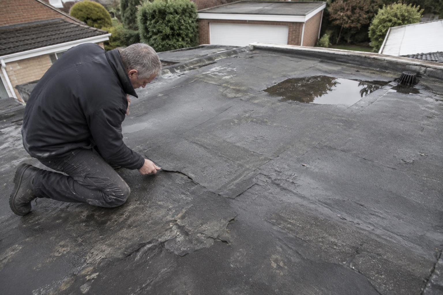 Roofer kneeling to inspect a split in a worn felt flat roof with standing water near the outlet